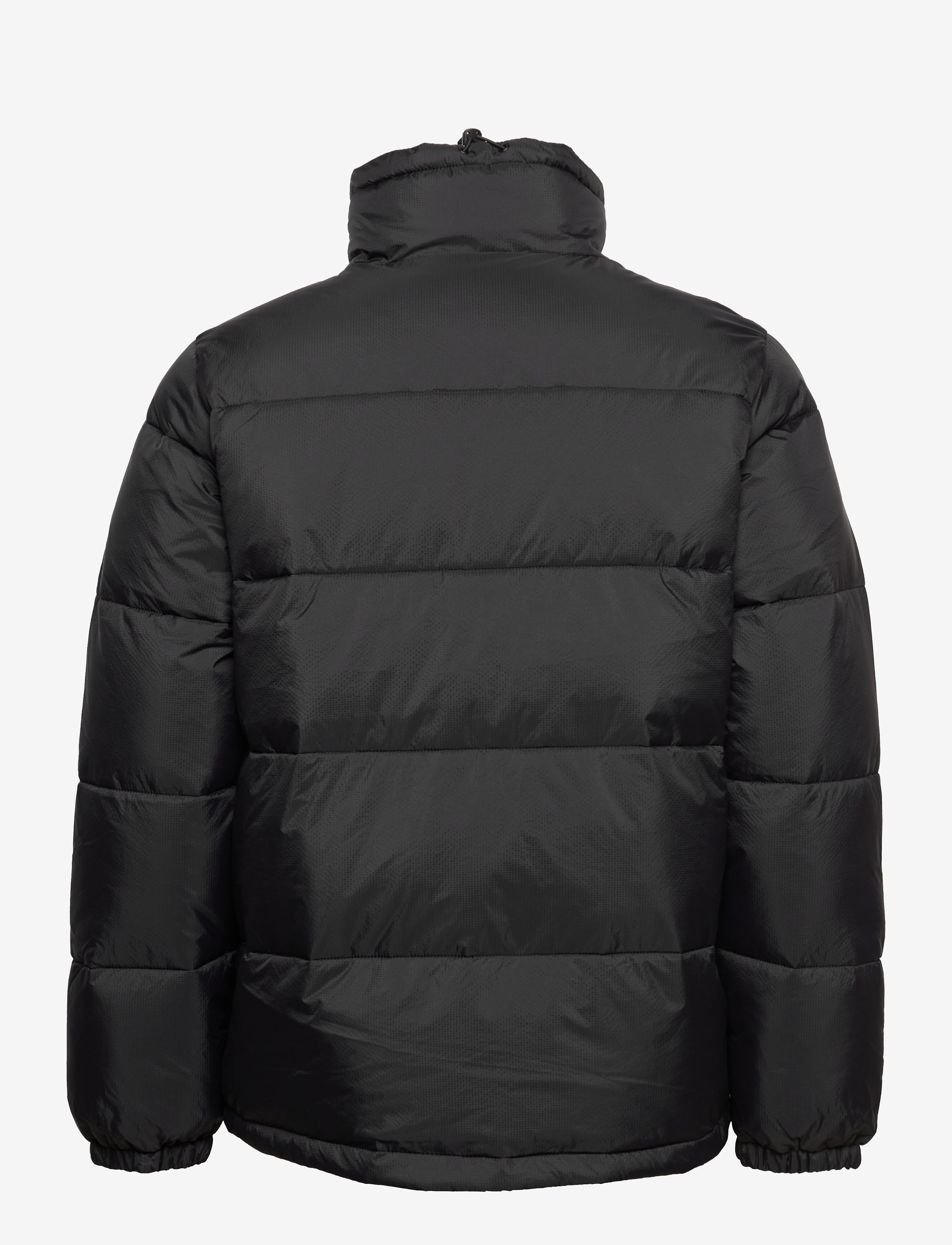 Dickies - WALDENBURG JACKET - jackets - black - 2