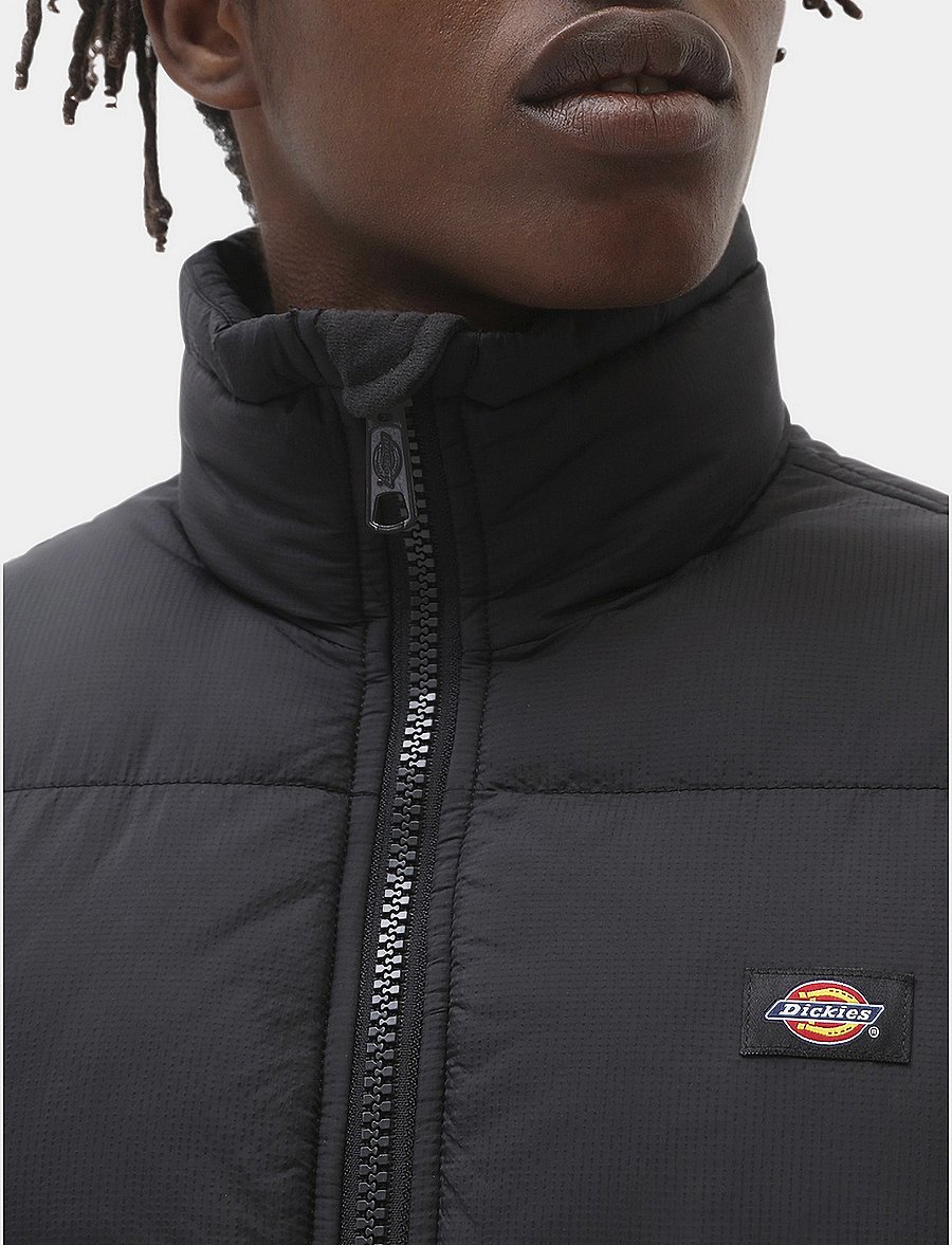 Dickies - WALDENBURG JACKET - down jackets - black - 4