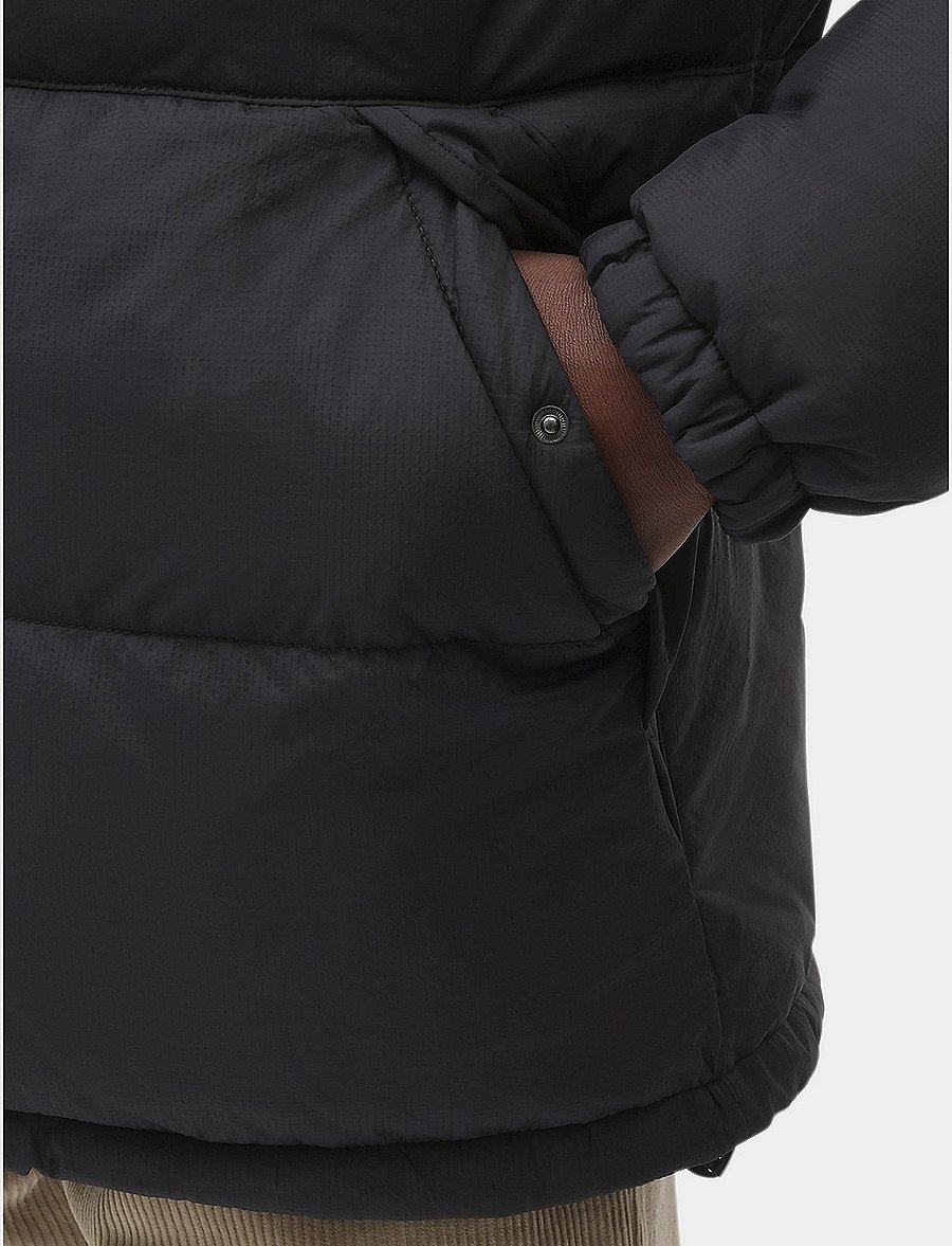 Dickies - WALDENBURG JACKET - down jackets - black - 5