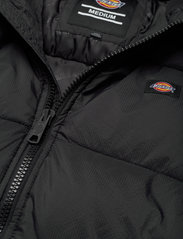 Dickies - WALDENBURG - winter jackets - black - 6