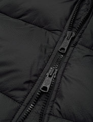 Dickies - WALDENBURG - winter jackets - black - 7