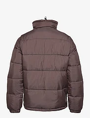 Dickies - WALDENBURG - winter jackets - java - 1