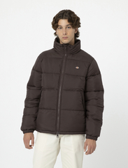 Dickies - WALDENBURG - winter jackets - java - 2