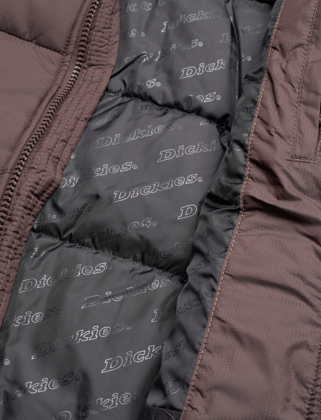 Dickie 2025 winter coats