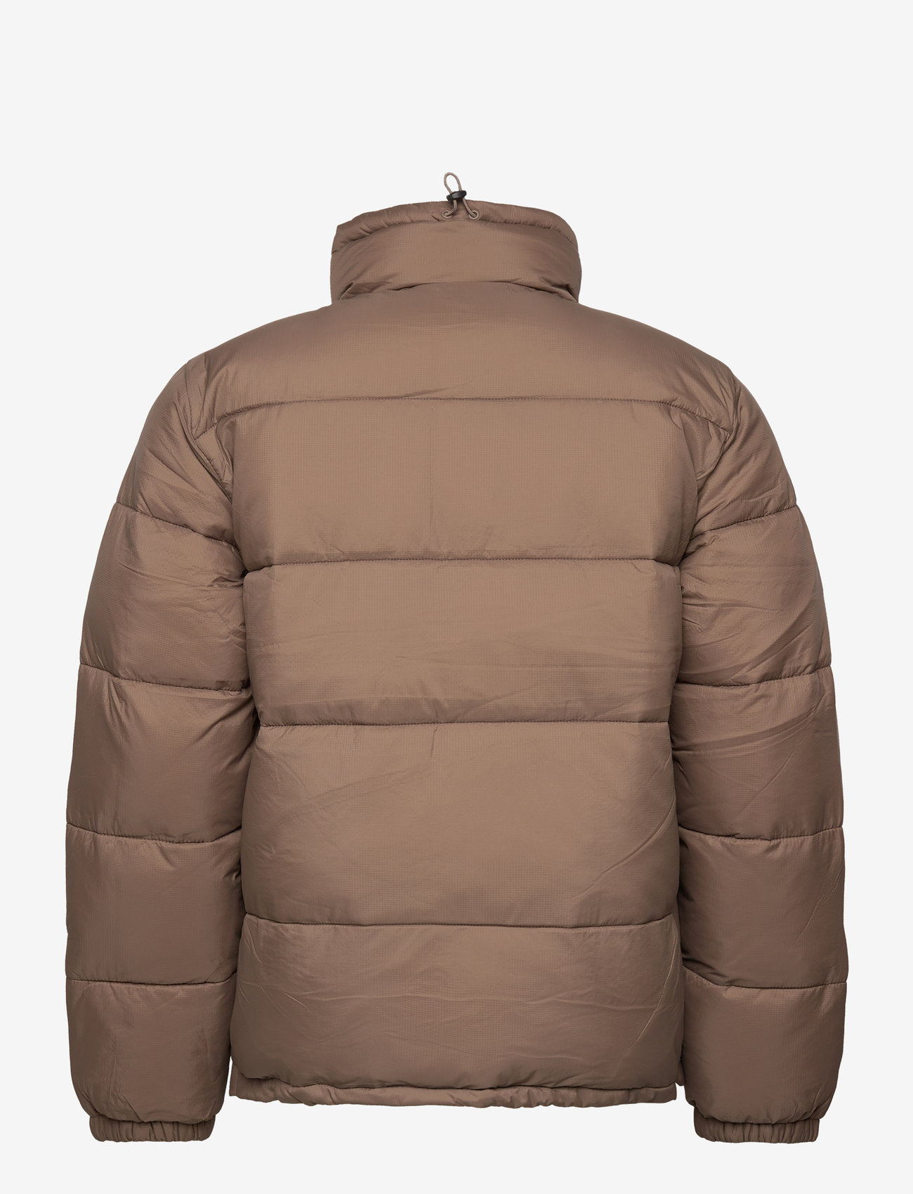 Dickies - WALDENBURG JACKET - winterjacken - mushroom - 1