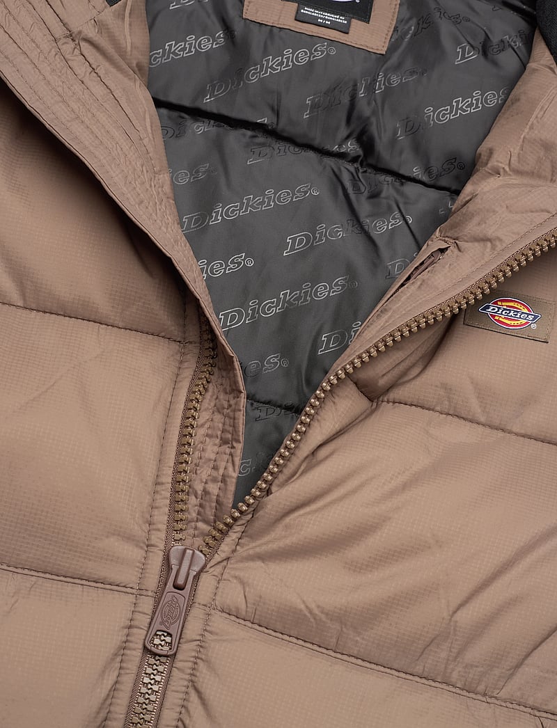 Dickies - WALDENBURG JACKET - winterjacken - mushroom - 2