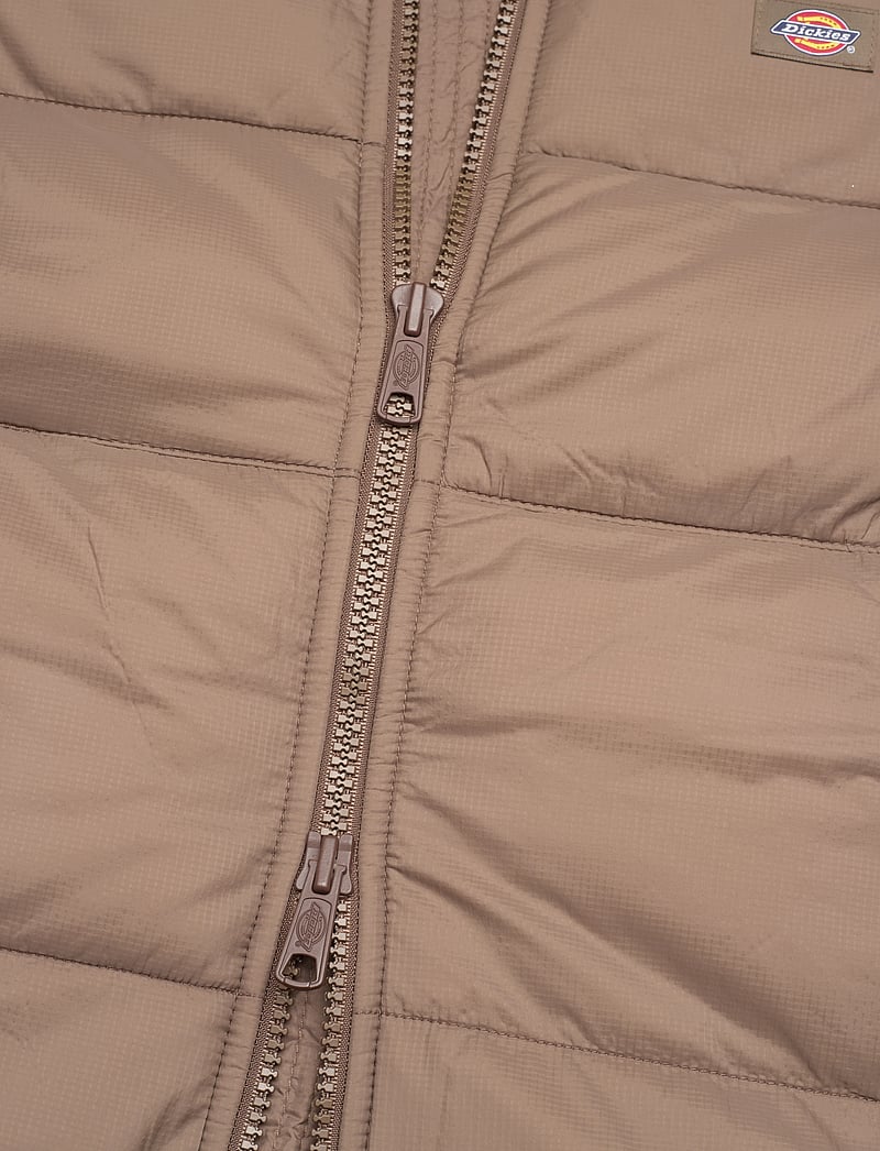 Dickies - WALDENBURG JACKET - winterjacken - mushroom - 4