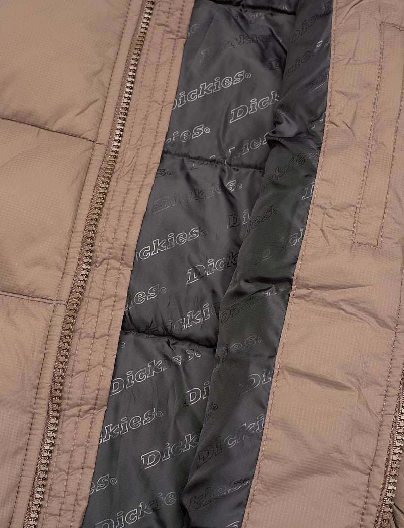 Dickies - WALDENBURG JACKET - winterjacken - mushroom - 5