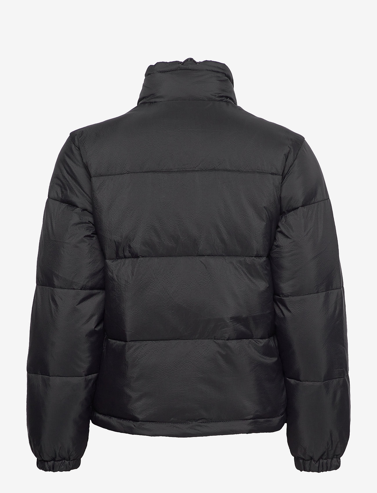 Dickies - ALATNA JACKET - dunjackor - black - 2