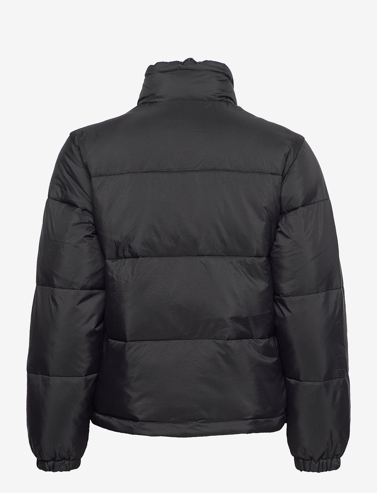 Dickies - ALATNA - winter jackets - black - 1