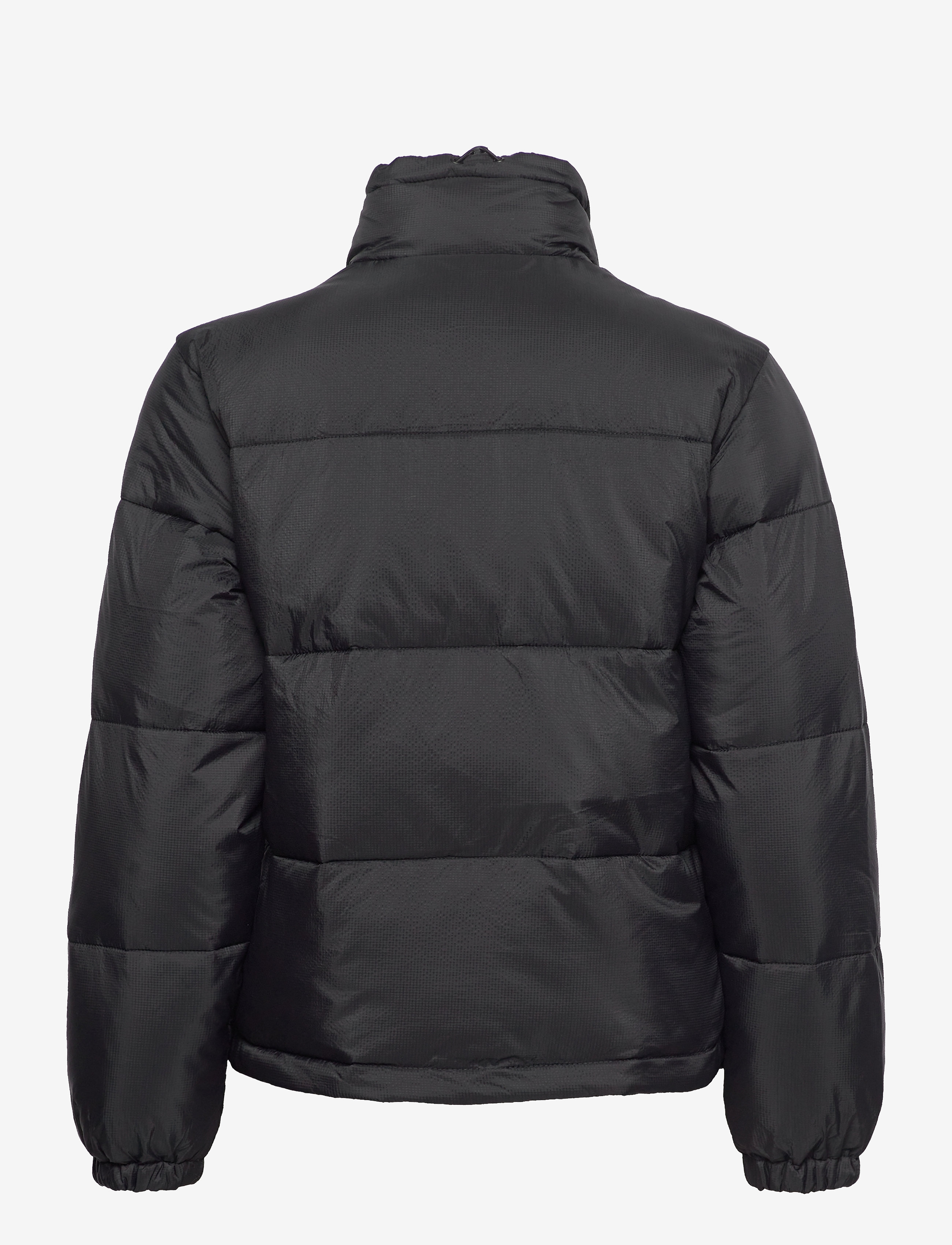 Dickies - ALATNA JACKET - black - 2