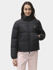 Dickies - ALATNA - winter jackets - black - 2