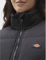 Dickies - ALATNA - down- & padded jackets - black - 4