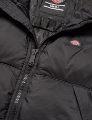 Dickies - ALATNA - down- & padded jackets - black - 9
