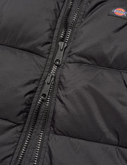 Dickies - ALATNA - winter jackets - black - 10