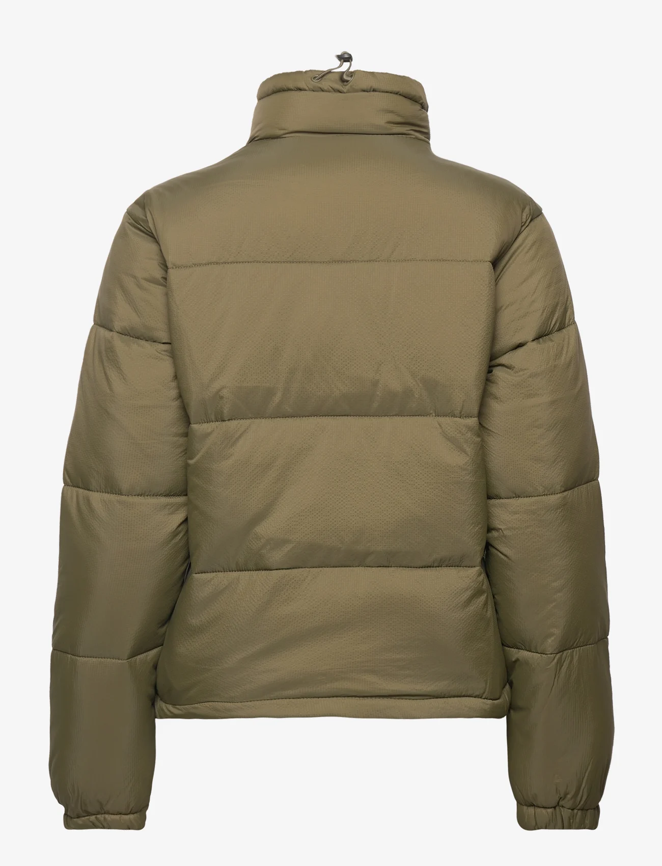 Dickies - ALATNA - winter jackets - military gr - 1