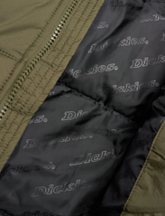 Dickies - ALATNA - Žieminės striukės - military gr - 4