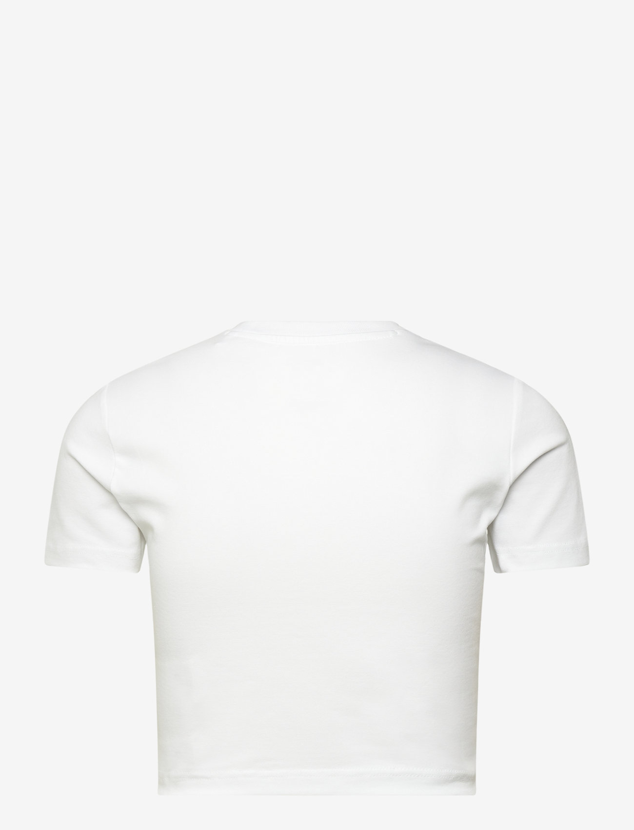 Dickies - MAPLE VALLEY TEE - white - 1