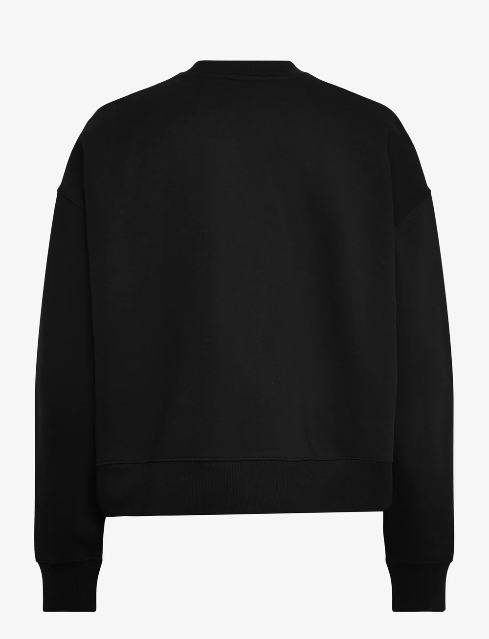 Dickies - SUMMERDALE SWEATSHIRT W - hverdags stil - black - 1