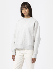 Dickies - SUMMERDALE SWEATSHIRT - sportiska stila džemperi un džemperi ar kapuci - light gray - 2