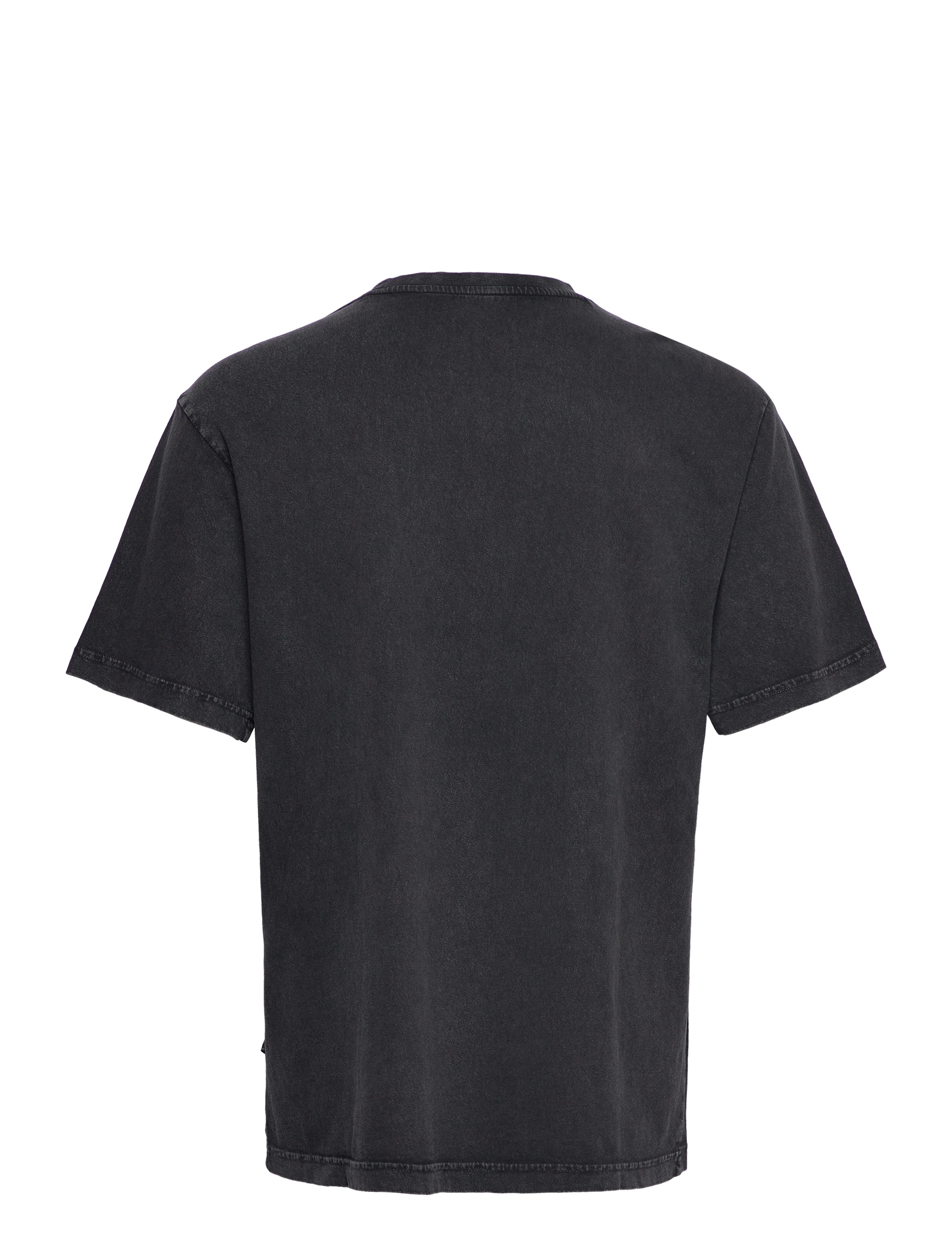 Dickies - ICON WASHED TEE SS - black - 1