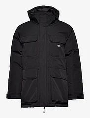 Dickies - GLACIER VIEW EXPEDITION - winter jackets - black - 0