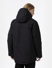Dickies - GLACIER VIEW EXPEDITION - winter jackets - black - 3