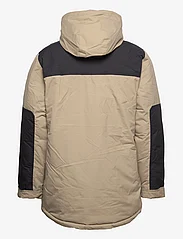 Dickies - GLACIER VIEW EXPEDITION - winter jackets - khaki - 1