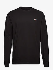 Dickies - LS MAPLETON TEE - basic t-shirts - black - 0