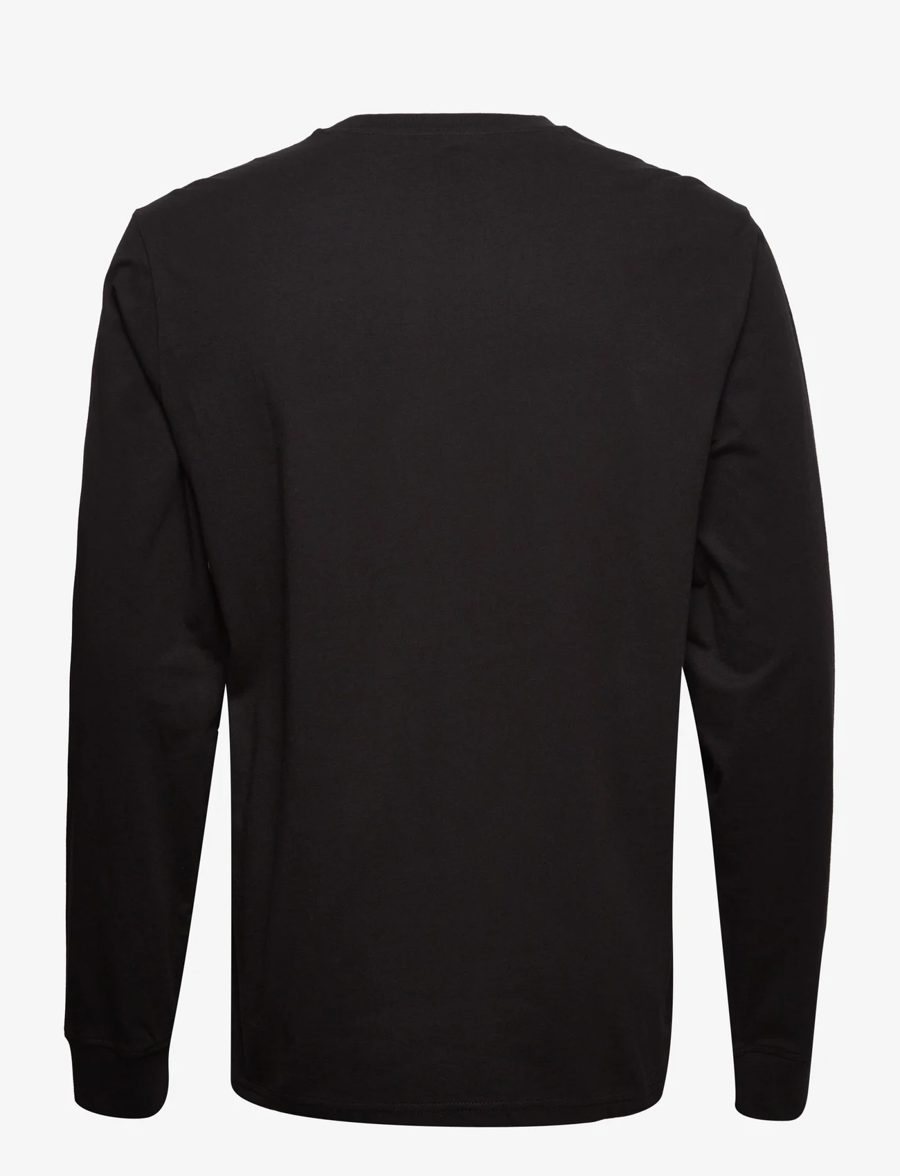 Dickies - LS MAPLETON TEE - basic t-shirts - black - 1
