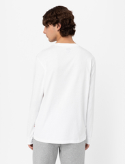 Dickies - LS MAPLETON TEE - basic t-shirts - white - 3