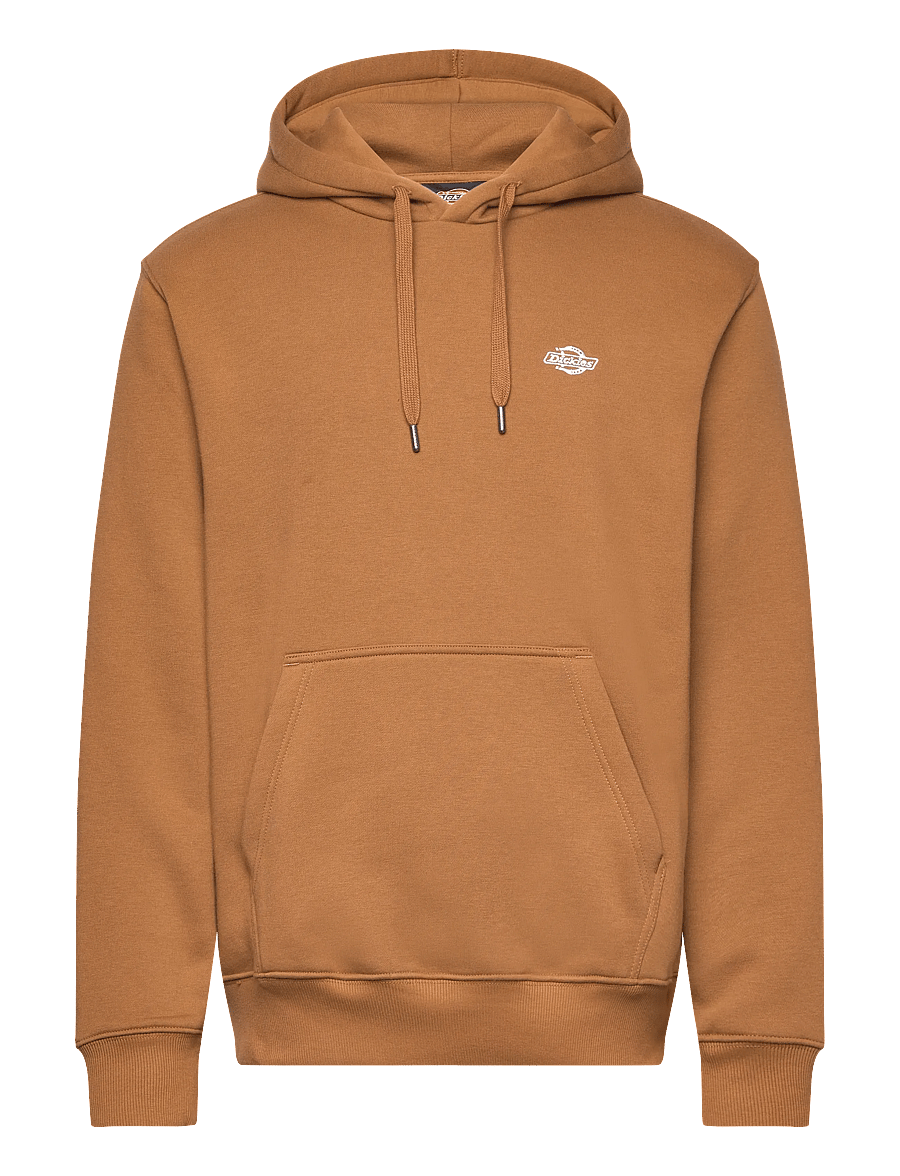 Dickies - M SUMMERDALE HOODIE - kapuzenpullover - brown duck - 0