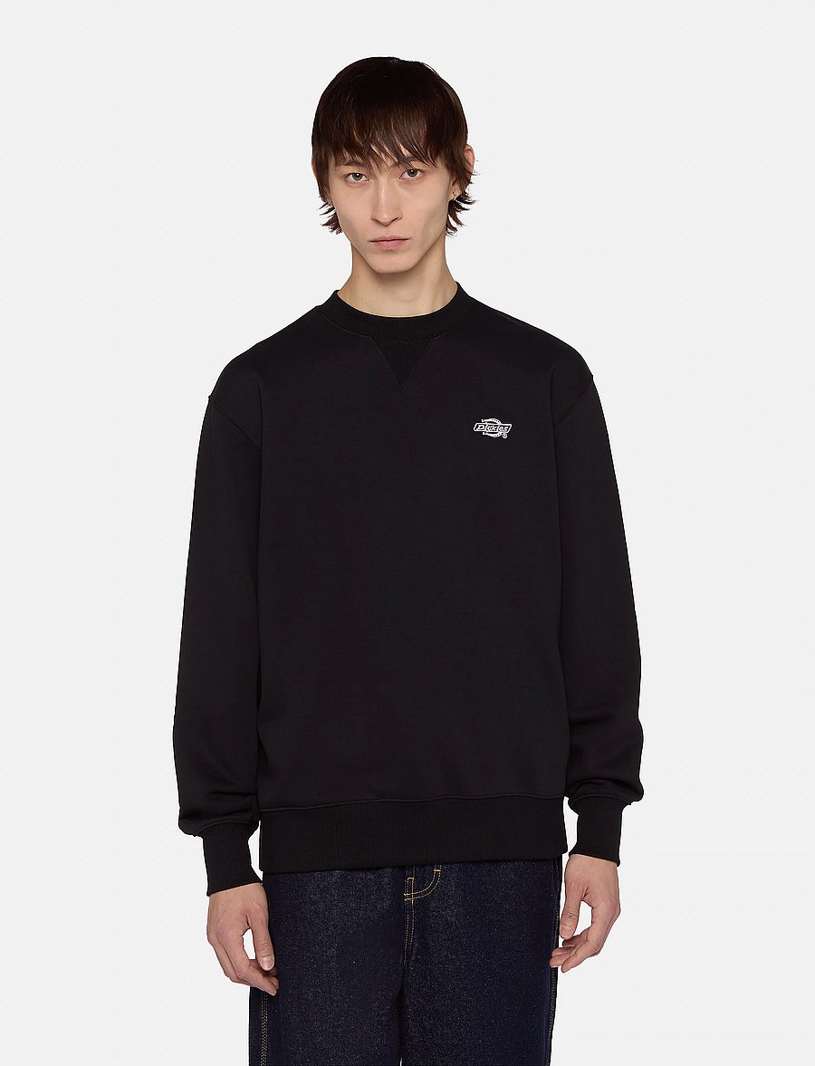 Dickies - M SUMMERDALE SWEATSHIRT - dressipluusid - black - 0