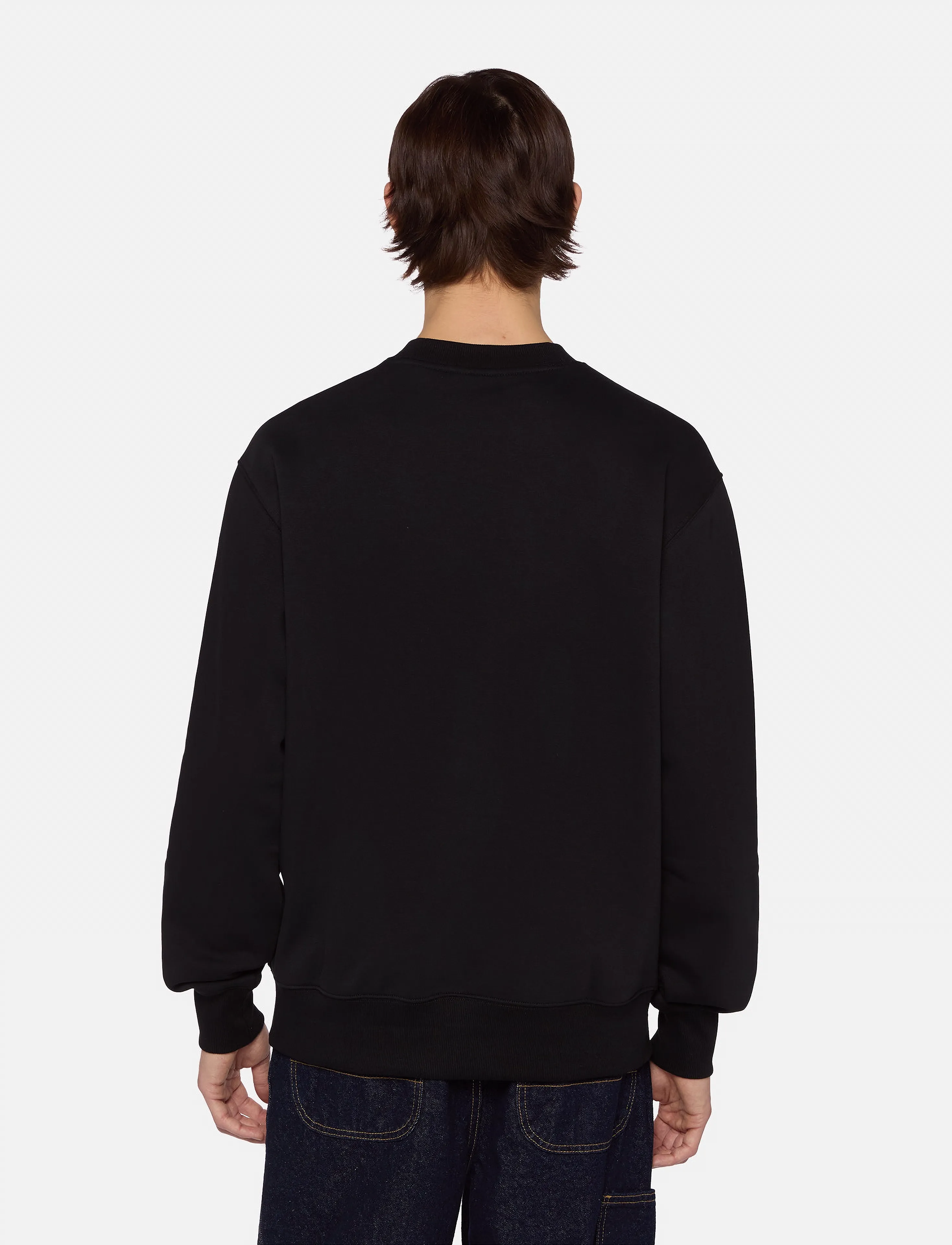Dickies - M SUMMERDALE SWEATSHIRT - hettupeysur - black - 2
