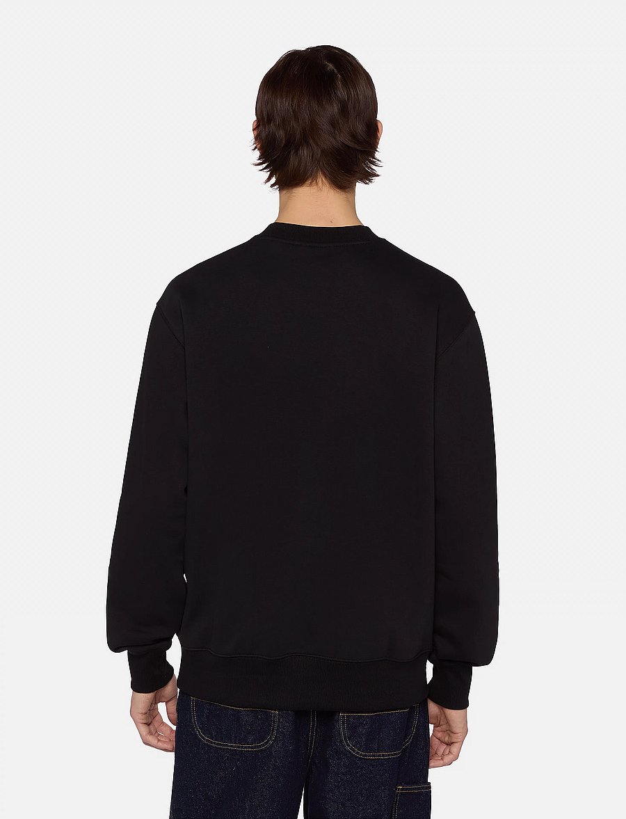 Dickies - M SUMMERDALE SWEATSHIRT - dressipluusid - black - 2