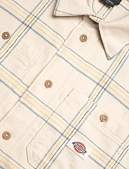 Dickies - WARRENTON SHIRT LS - checkered shirts - window check cloud - 2
