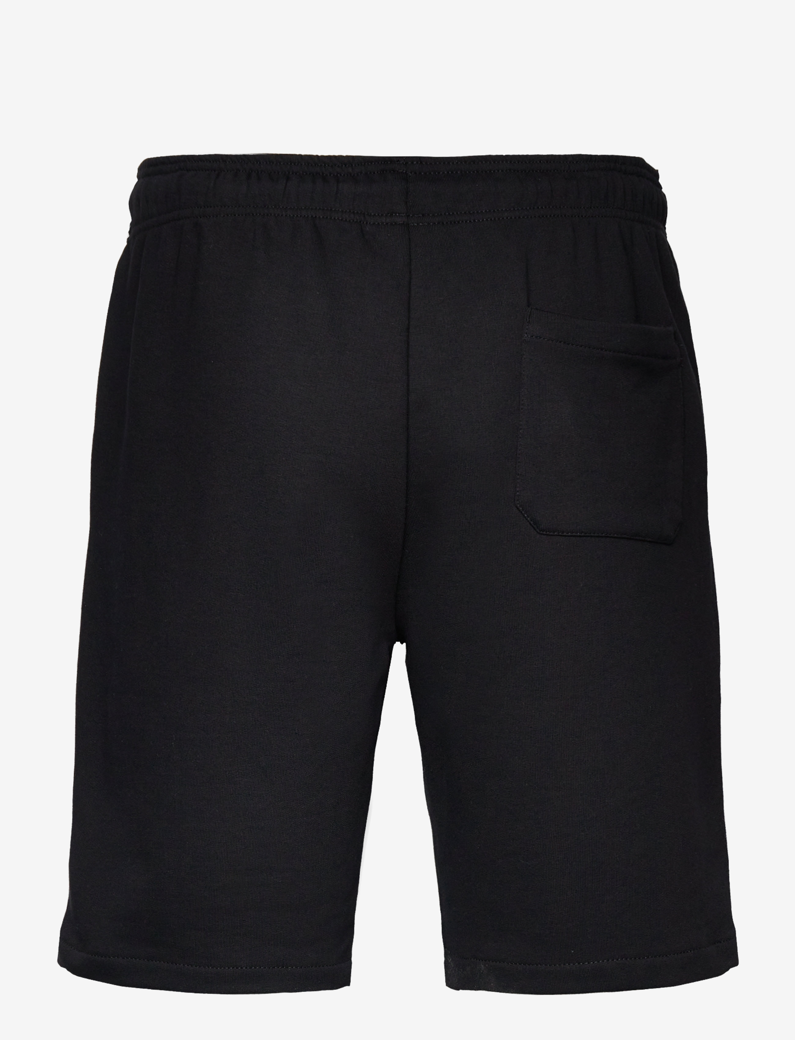 Dickies - MAPLETON SHORT - black - 2