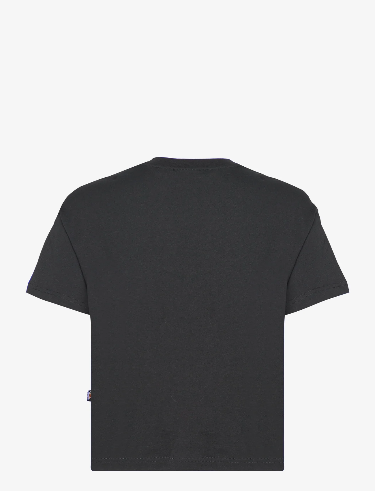 Dickies - OAKPORT BOXY SS TEE - lowest prices - black - 1