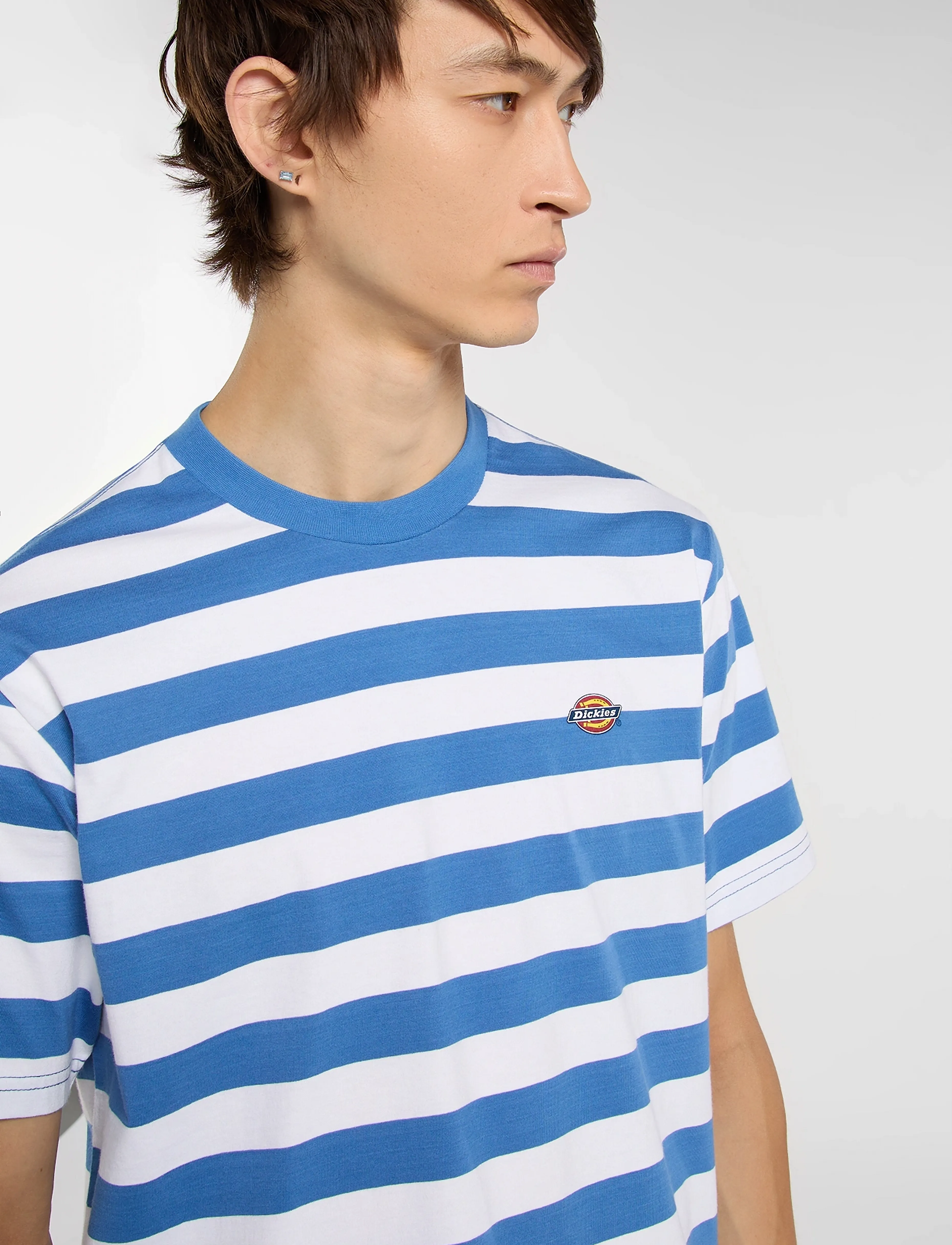 Dickies - RIVERGROVE - marškinėliai trumpomis rankovėmis - delft - 4