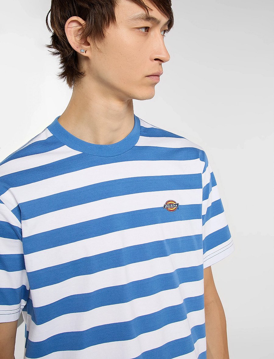 Dickies - RIVERGROVE - marškinėliai trumpomis rankovėmis - delft - 4