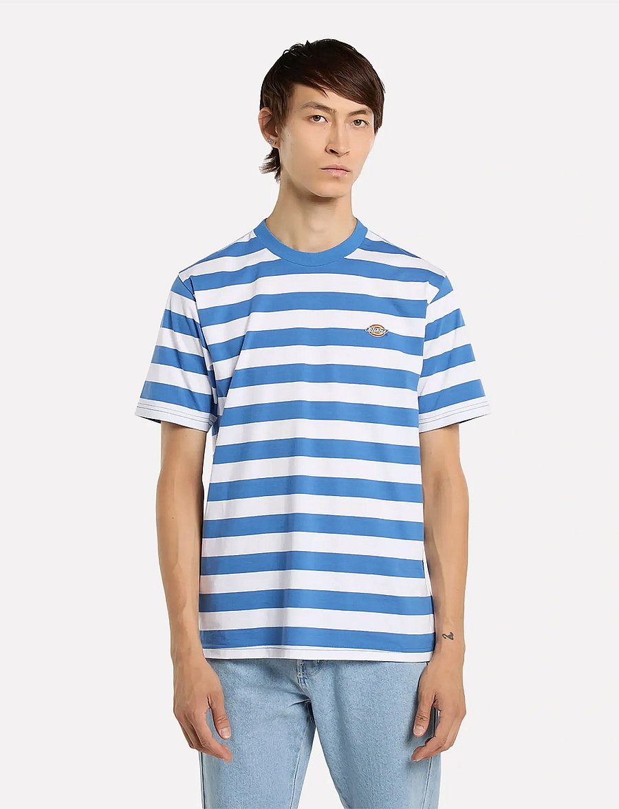 Dickies - RIVERGROVE - marškinėliai trumpomis rankovėmis - delft - 5