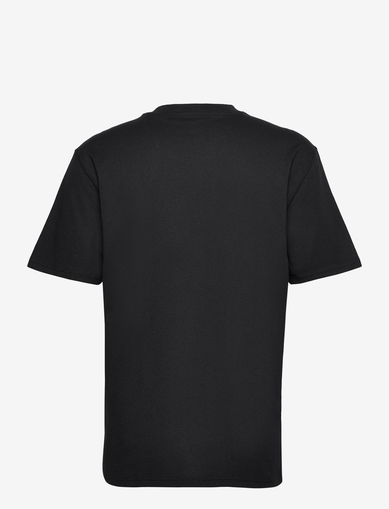 Dickies - SUMMERDALE SS TEE - kortärmade t-shirts - black - 1