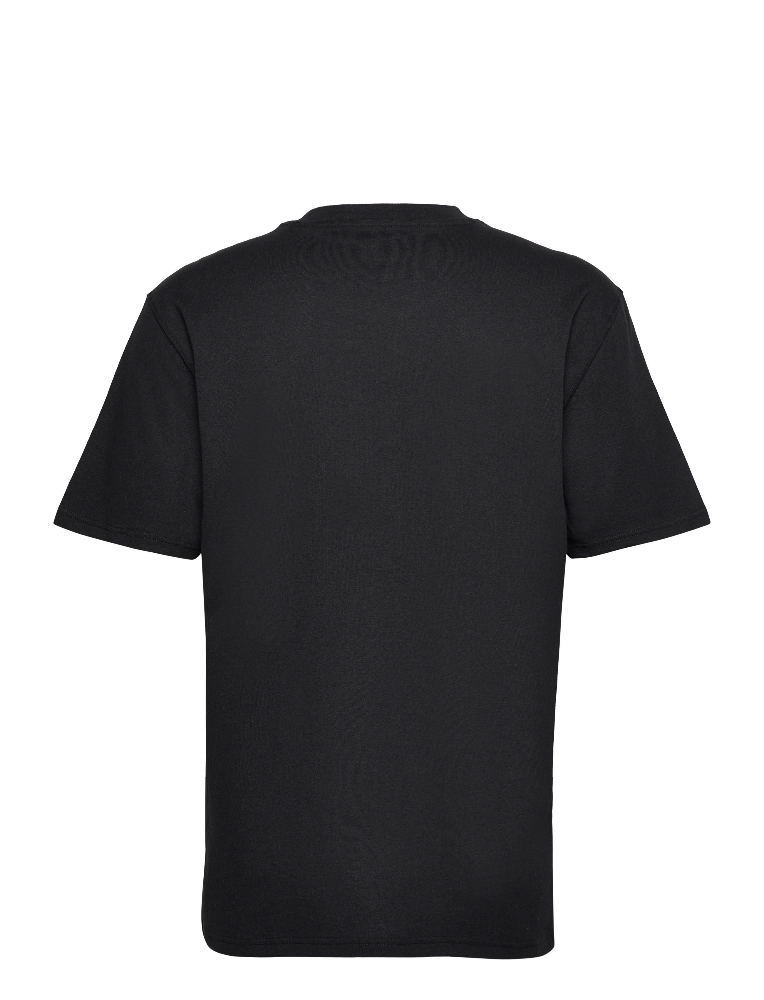 Dickies - SUMMERDALE SS TEE - short-sleeved t-shirts - black - 1