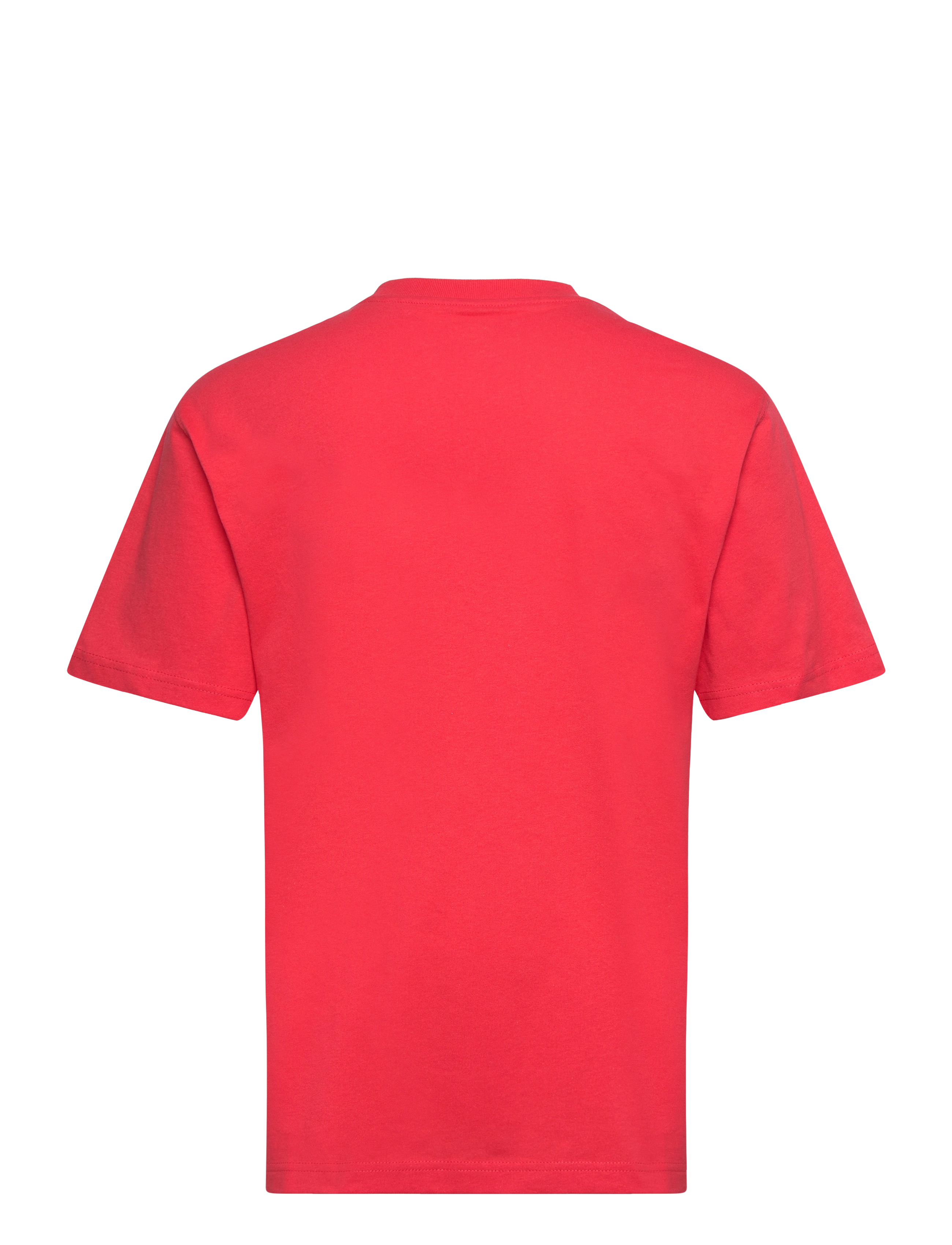 Dickies - SUMMERDALE SS TEE - dke66 - 1