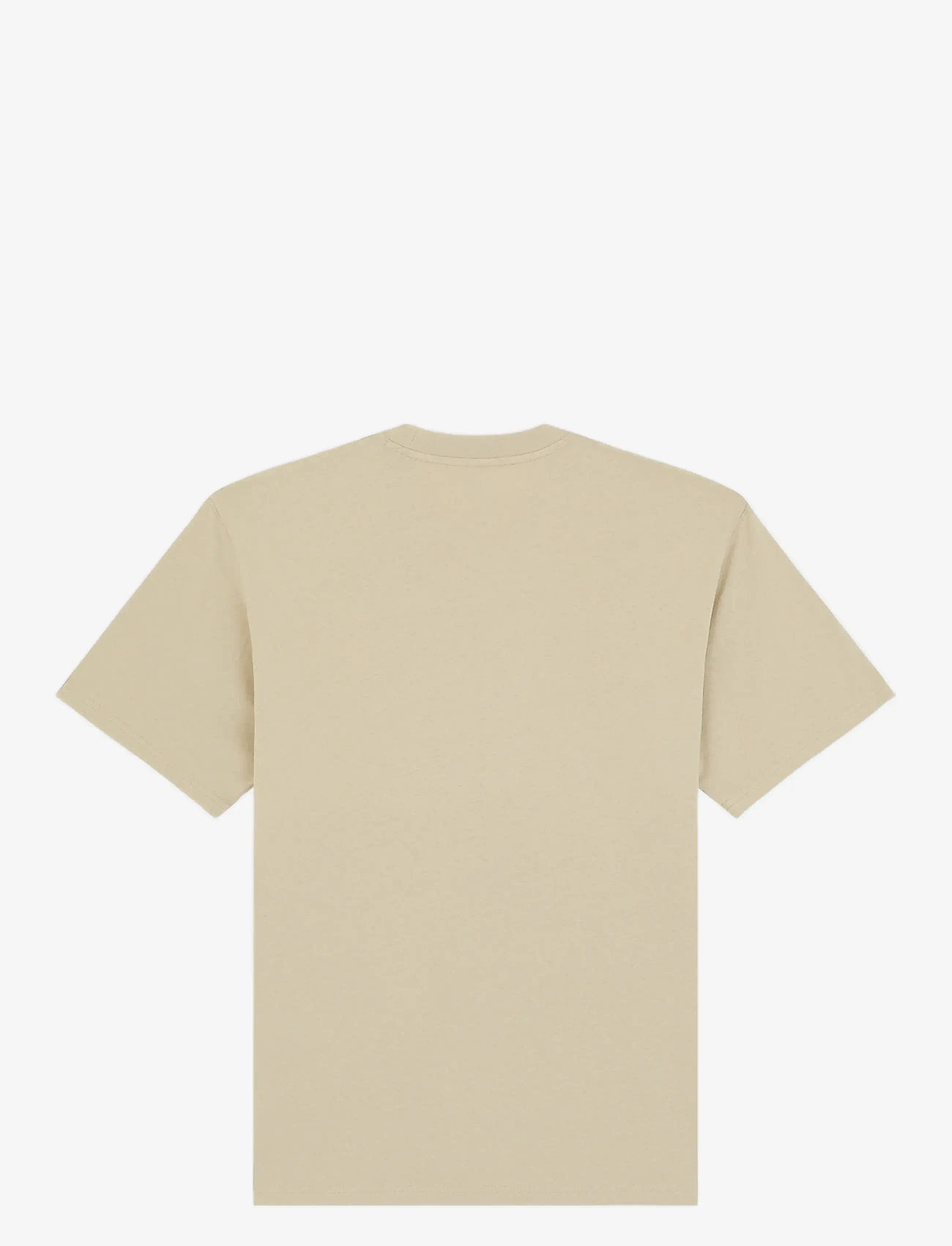 Dickies - SUMMERDALE SS TEE - marškinėliai trumpomis rankovėmis - eucalyptus - 2