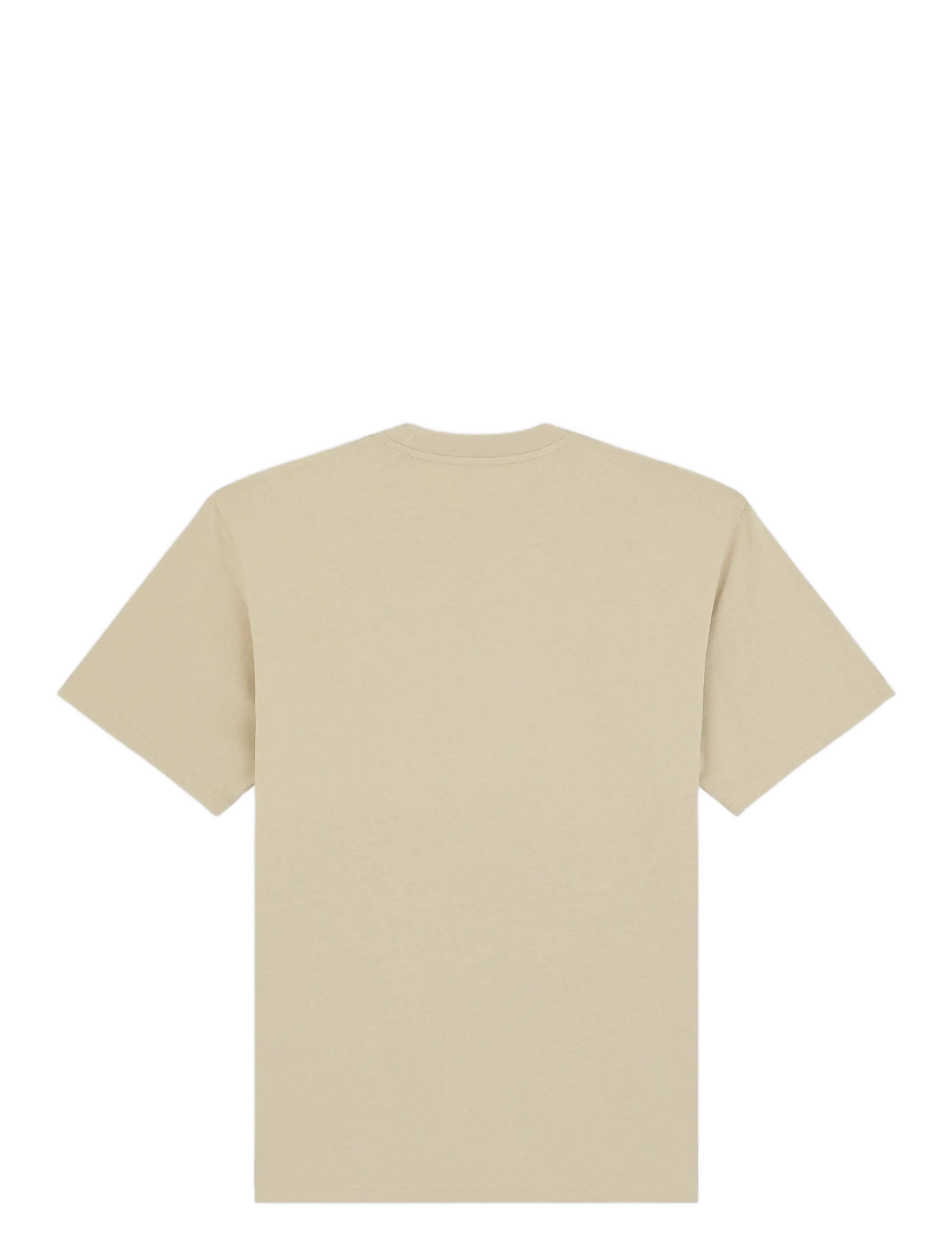 Dickies - SUMMERDALE SS TEE - kortærmede t-shirts - eucalyptus - 2