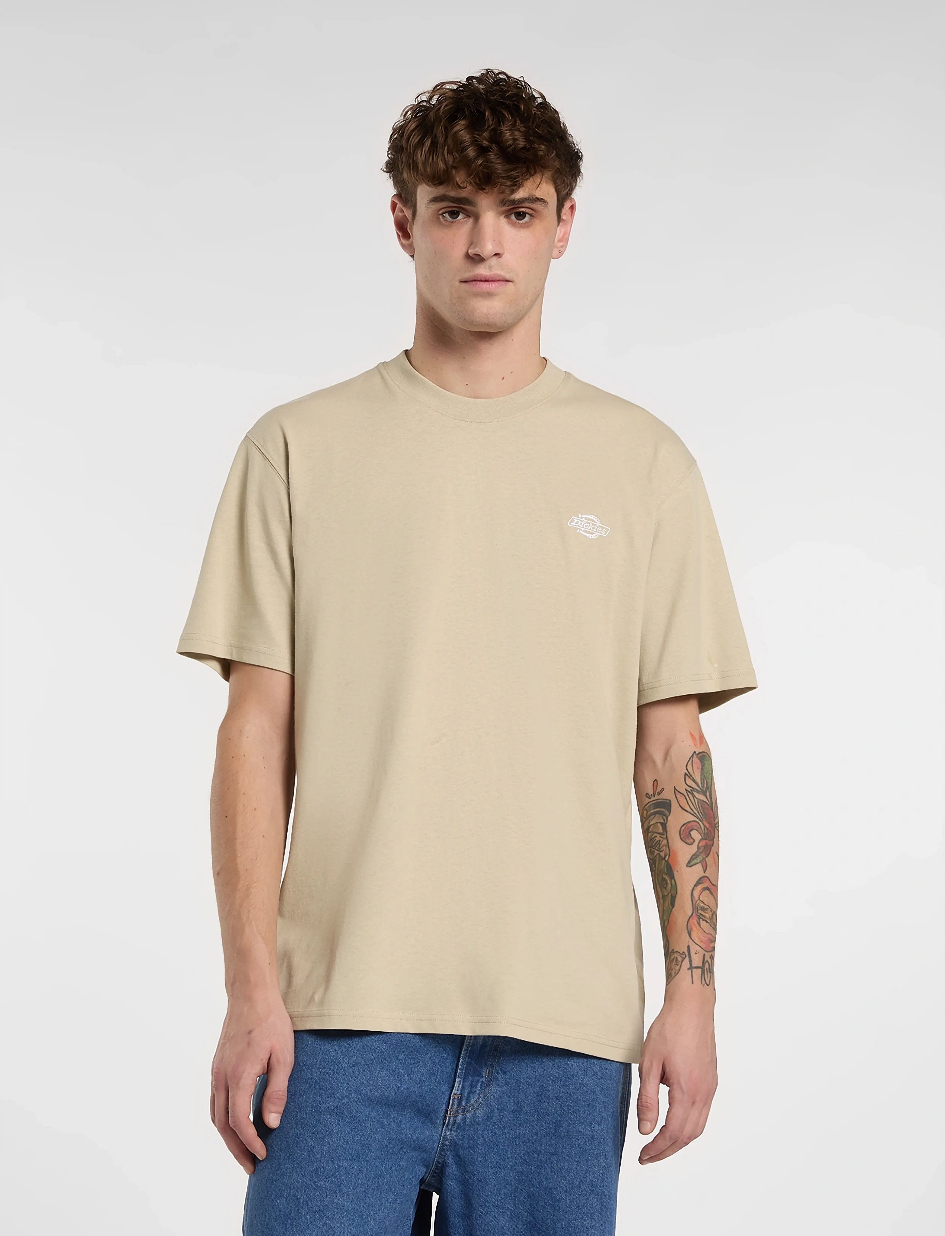 Dickies SUMMERDALE SS TEE - Kleidung - EUCALYPTUS / beige