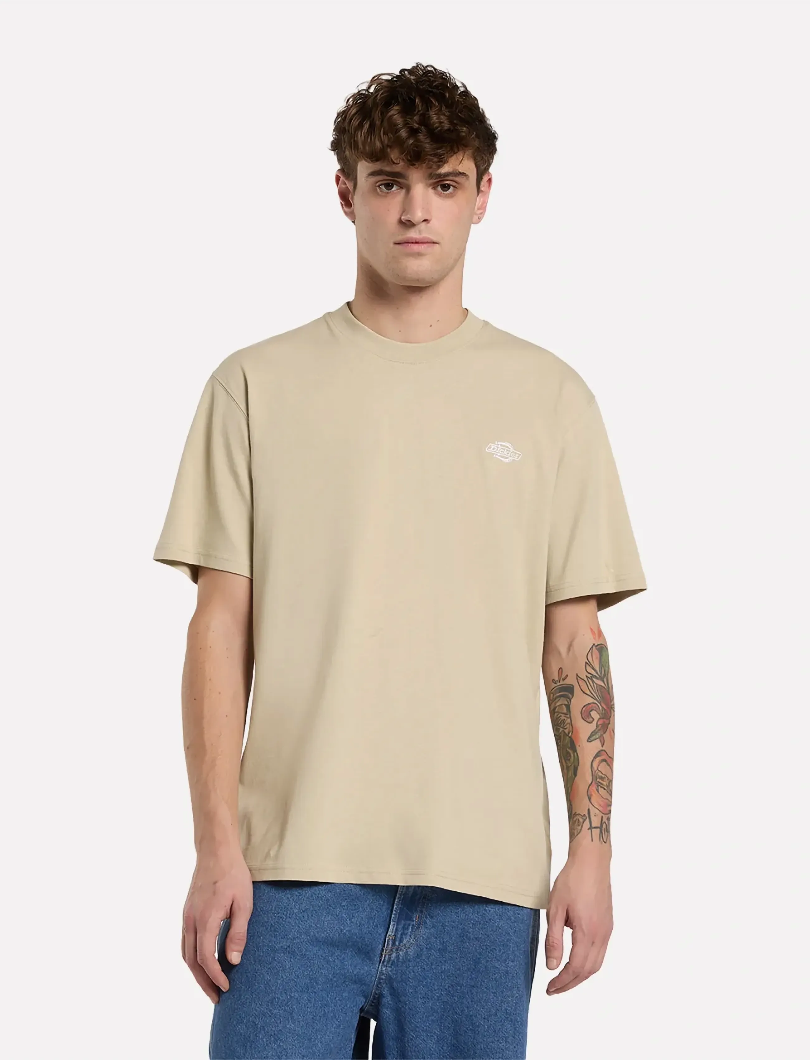 Dickies - SUMMERDALE SS TEE - kortærmede t-shirts - eucalyptus - 5