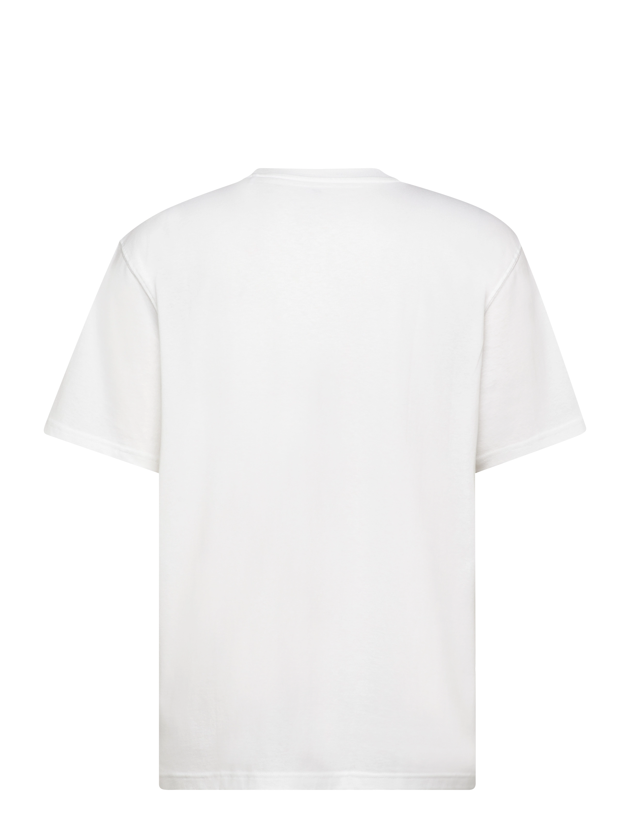 Dickies - SUMMERDALE SS TEE - t-shirts à manches courtes - white - 1