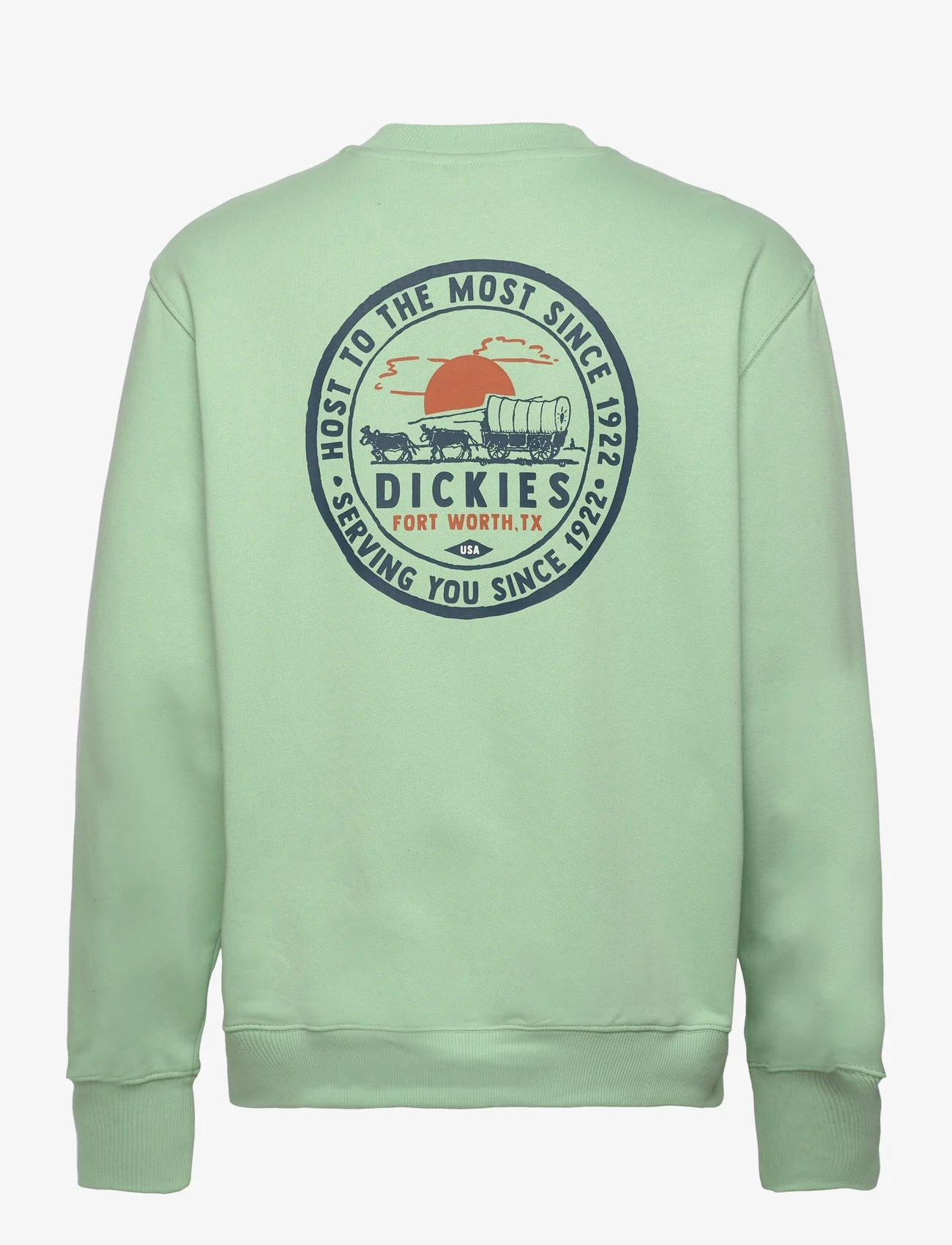 Dickies - GREENSBURG SWEATSHIRT - sweatshirts - quiet green - 1